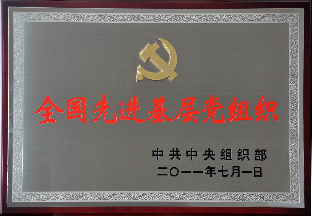 2011年7月，紅豆集團黨委榮獲“全國先進(jìn)基層黨組織”稱(chēng)號